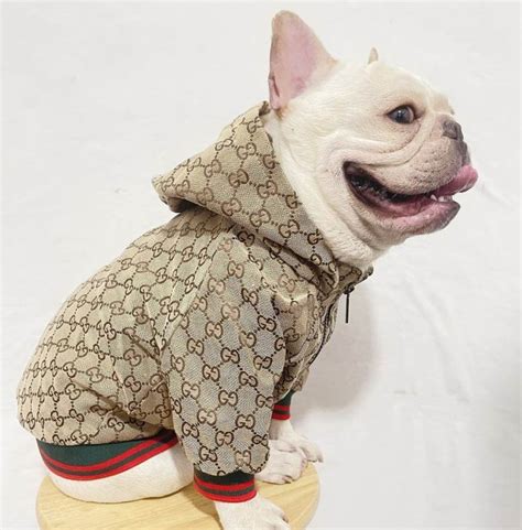 gucci pet prijs|gucci designer dog clothing.